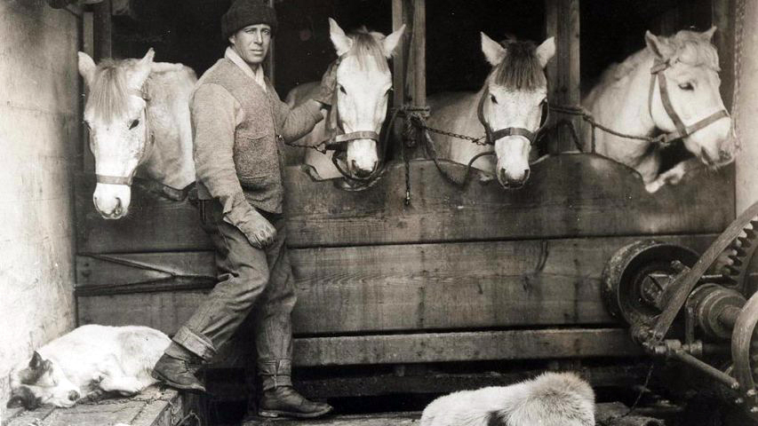 Антон Омельченко потрапив в експедицію передовсім завдяки вмінню поводитися з кіньми (фото початку минулого століття).